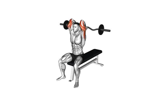 EZ Barbell Seated Triceps Extension exercise demonstration
