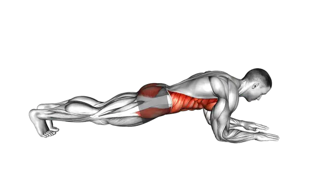 Front Elbow Plank exercise demonstration