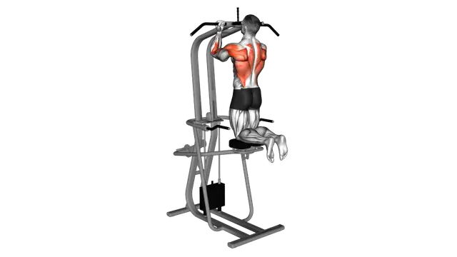 Lever Assisted Chin Up exercise demonstration