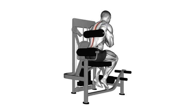 Lever Back Extension exercise demonstration