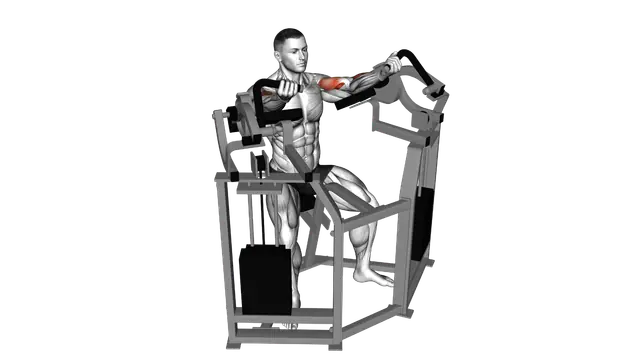 Lever Bicep Curl exercise demonstration