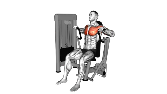 Lever Chest Press exercise demonstration