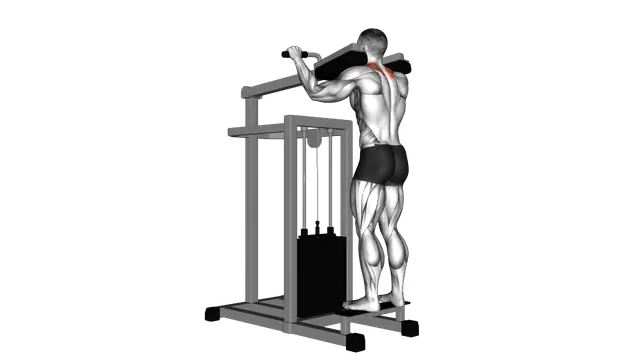 Lever Gripless Shrug exercise demonstration