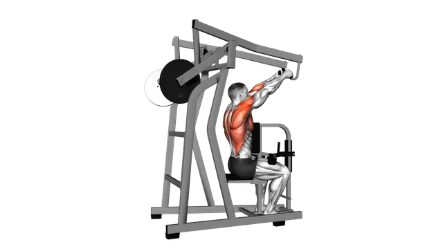 Lever High Row (plate loaded) exercise demonstration