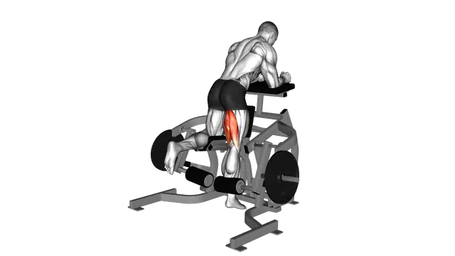 Lever Kneeling Leg Curl (plate loaded) exercise demonstration