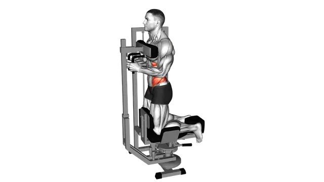 Lever Kneeling Twist exercise demonstration