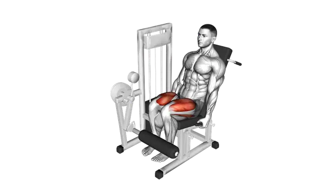 Lever Leg Extension exercise demonstration