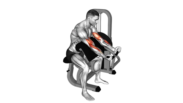 Lever Preacher Curl exercise demonstration