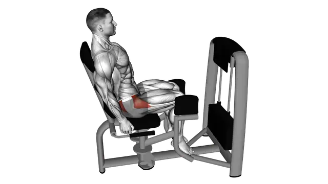 Lever Seated Hip Abduction exercise demonstration