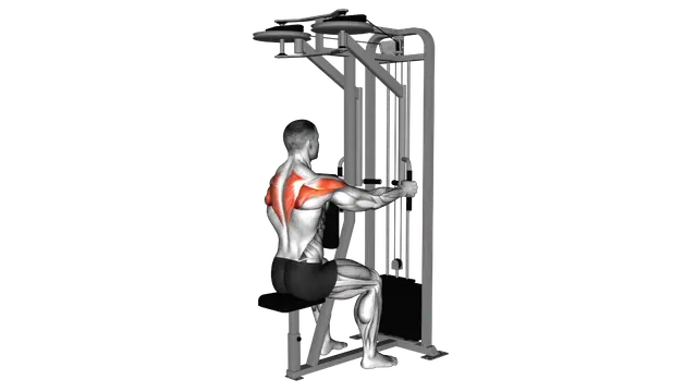 Lever Seated Reverse Fly (parallel grip) exercise demonstration