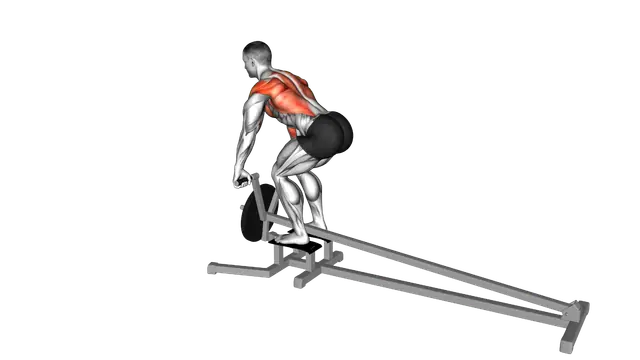 Lever T bar Row (plate loaded) exercise demonstration