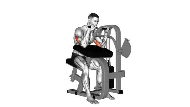 Lever Triceps Extension exercise demonstration