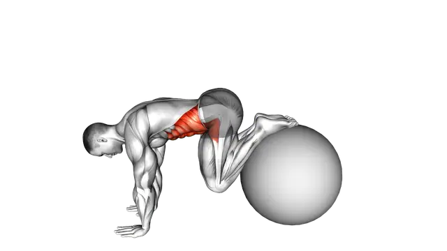 Pull In (on stability ball) exercise demonstration