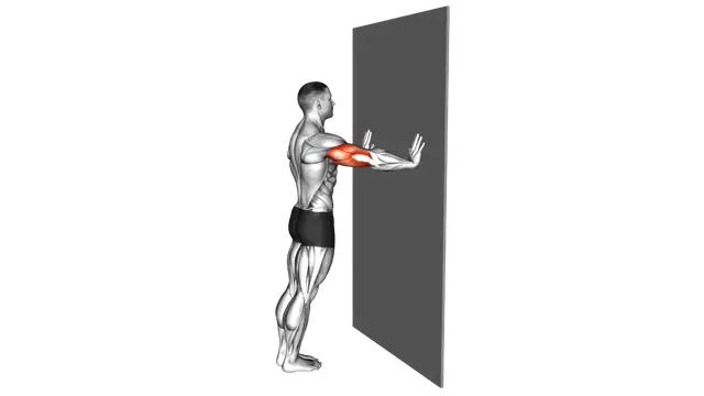 Push up (wall) II exercise demonstration