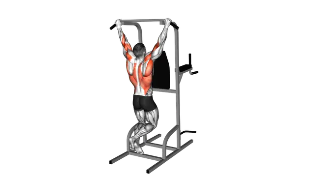 Rear Pull up exercise demonstration
