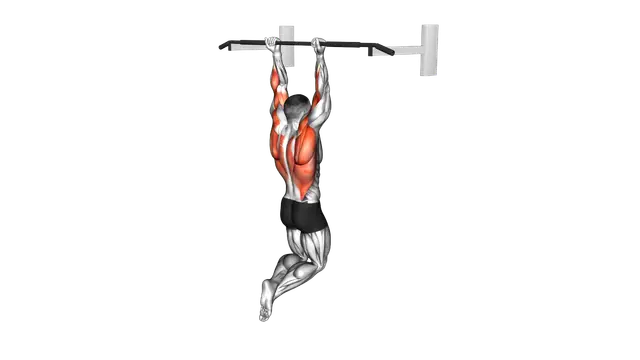 Reverse grip Pull up exercise demonstration