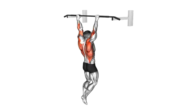 Rocky Pull Up Pulldown exercise demonstration