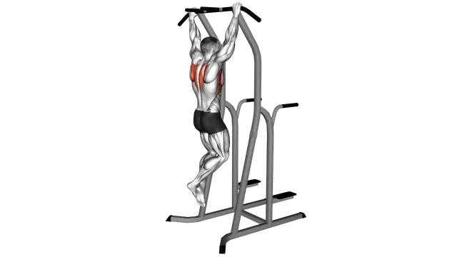 Scapular Pull Up exercise demonstration
