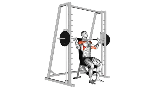 Smith Shoulder Press exercise demonstration