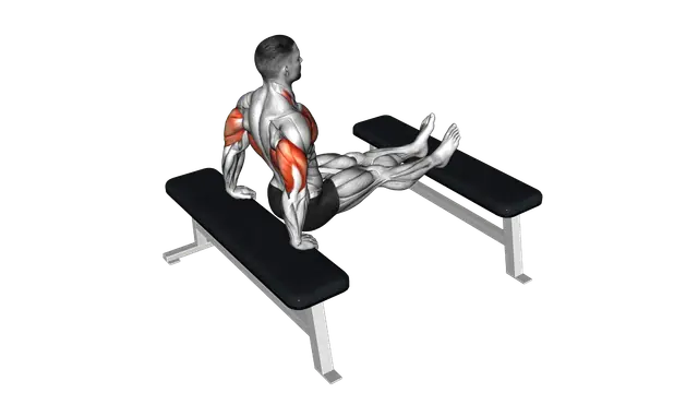 Triceps Dip (bench leg) exercise demonstration