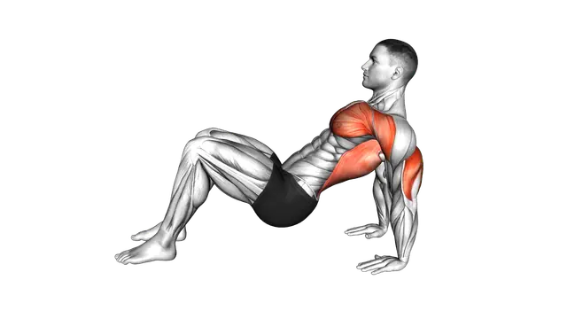 Triceps Dips Floor exercise demonstration