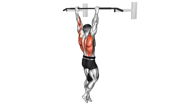 Weighted Pull Up exercise demonstration