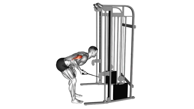 Cable kickback exercise demonstration
