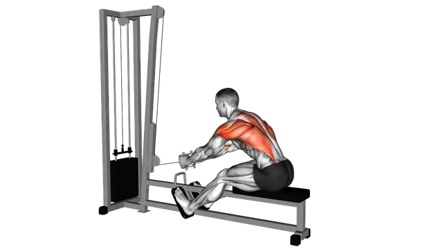 Cable Seated Row exercise demonstration