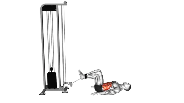 Cable Reverse Crunch exercise demonstration