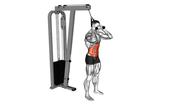 Cable Standing Crunch (with rope attachment) exercise demonstration