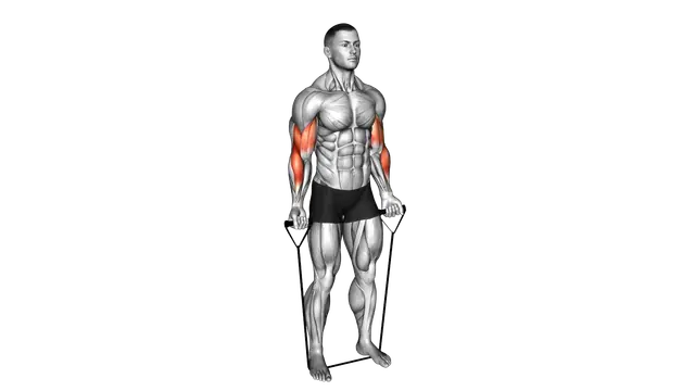 Band Alternating Biceps Curl exercise demonstration