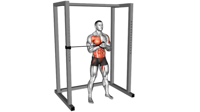Band Horizontal Pallof Press exercise demonstration