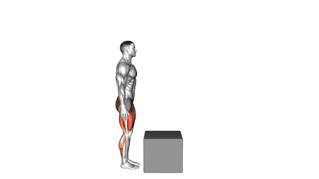 Bodyweight Step over Box exercise demonstration