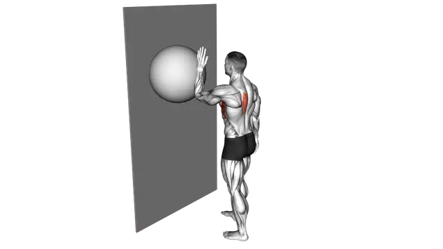 Exercise Ball Serratus Wall Single Leg Slide exercise demonstration