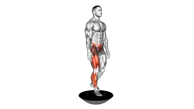 Bosu Ball Single Leg Deadlift exercise demonstration