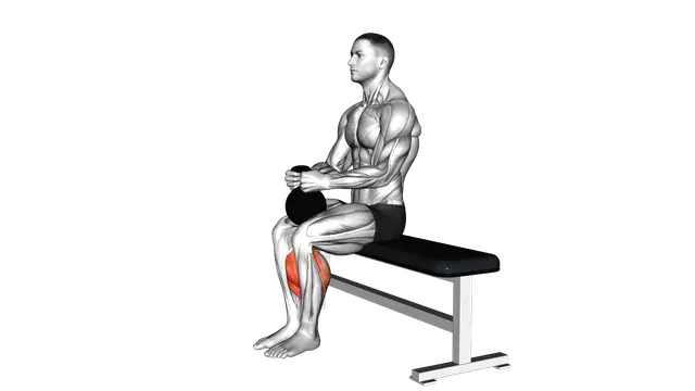 Kettlebell Sitting Calf Raise exercise demonstration