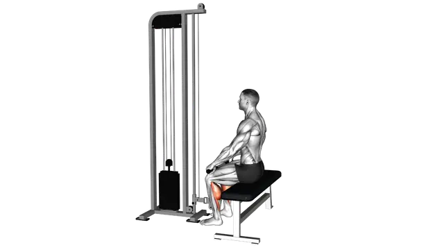 Cable Sitting Calf Raise exercise demonstration