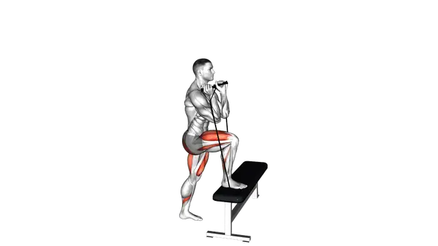 Band Step up exercise demonstration