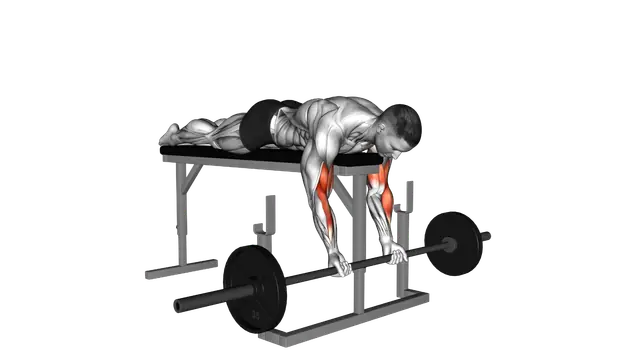 Barbell Lying Biceps Curl exercise demonstration