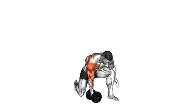 Dumbbell Half Kneeling Single Arm Clean Press (ma exercise demonstration