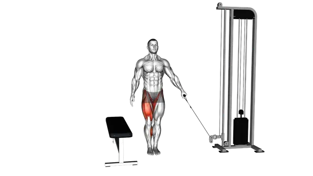 Cable Lateral Step up exercise demonstration