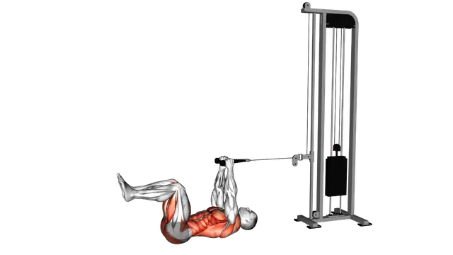 Cable Dead Bug exercise demonstration