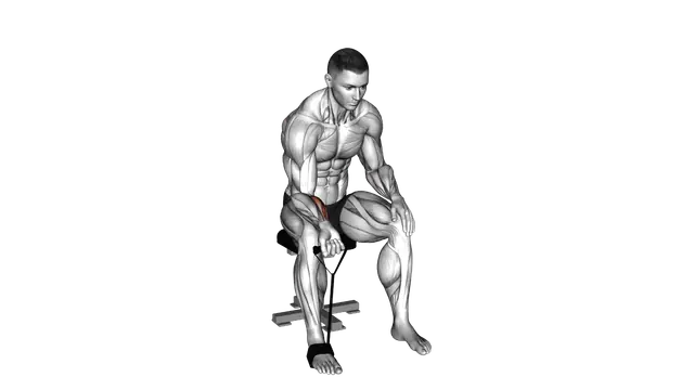 Band Wrist Curl exercise demonstration