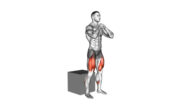 Bodyweight Box Squat exercise demonstration