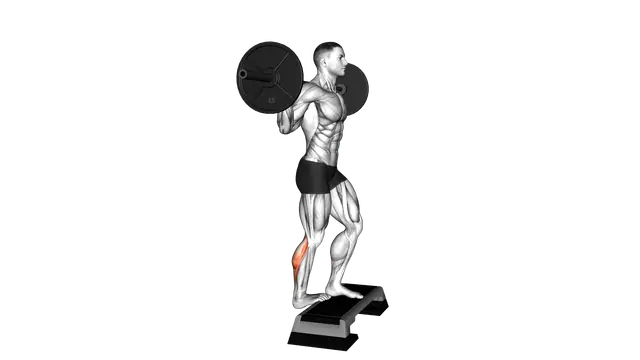 Barbell Standing Single Leg Calf Raise exercise demonstration