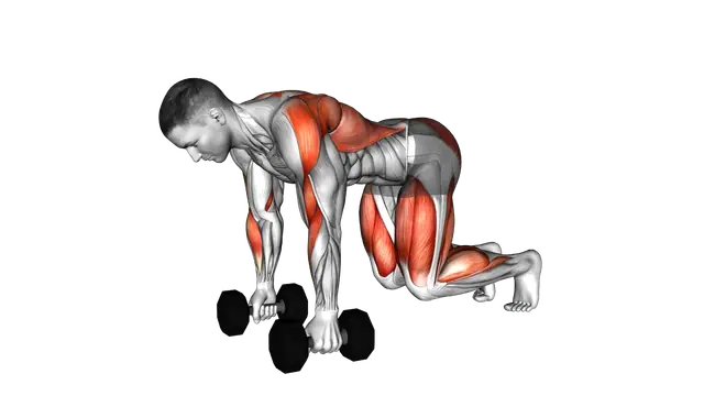 Dumbbell Bear Plank Alternating Row exercise demonstration