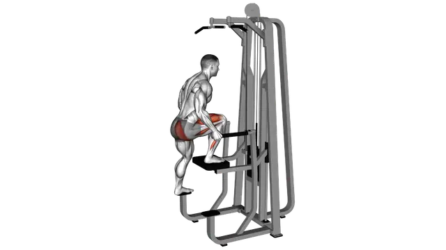 Assisted Single Leg Press exercise demonstration