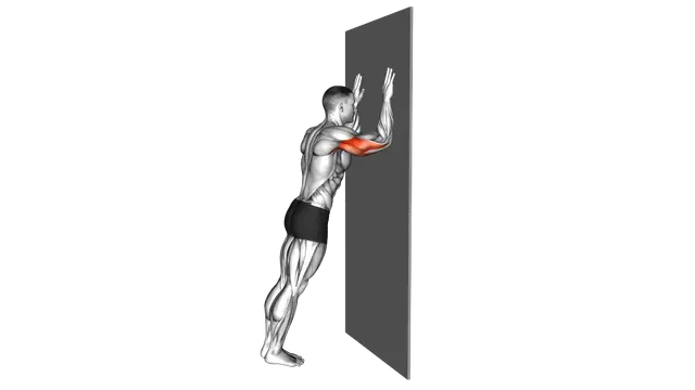Wall Triceps Dip exercise demonstration