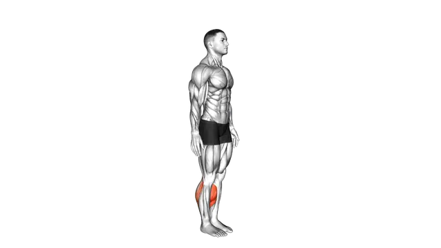 Bodyweight Isometric Calf Raise Hold exercise demonstration