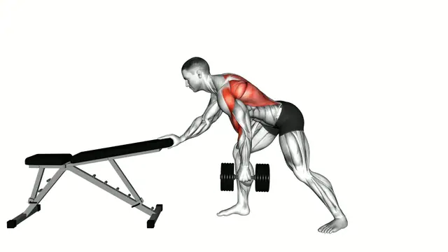 Dumbbell Kroc Row exercise demonstration